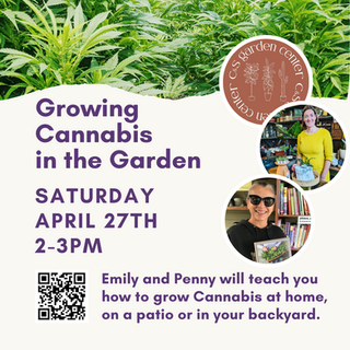 C&S Workshop: Growing Cannabis in the Garden