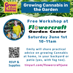 Flowercraft June 1st